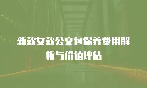 新款女款公文包保养费用解析与价值评估
