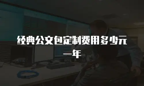 经典公文包定制费用多少元一年