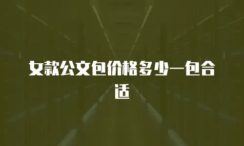 女款公文包价格多少一包合适