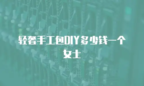 轻奢手工包DIY多少钱一个女士