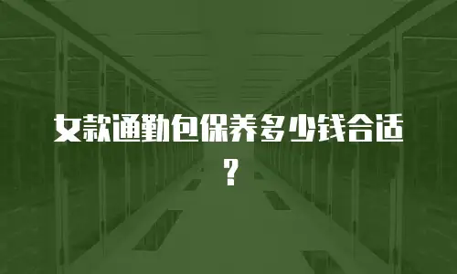 女款通勤包保养多少钱合适？