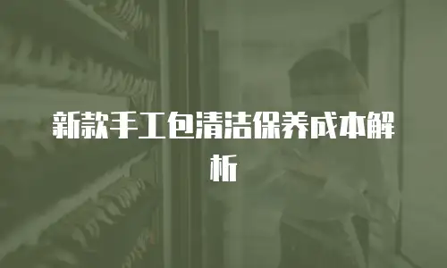 新款手工包清洁保养成本解析