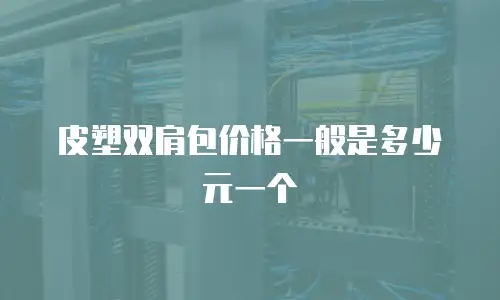 皮塑双肩包价格一般是多少元一个