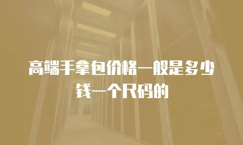 高端手拿包价格一般是多少钱一个尺码的