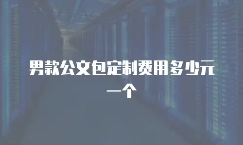 男款公文包定制费用多少元一个