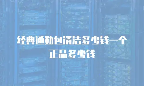 经典通勤包清洁多少钱一个正品多少钱