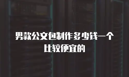 男款公文包制作多少钱一个比较便宜的
