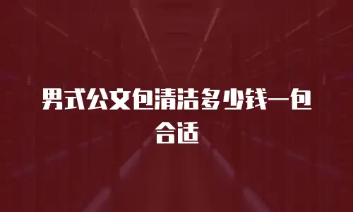 男式公文包清洁多少钱一包合适