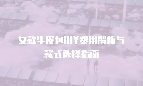 女款牛皮包DIY费用解析与款式选择指南