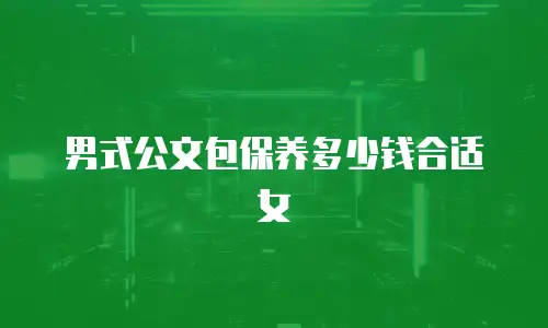 男式公文包保养多少钱合适女