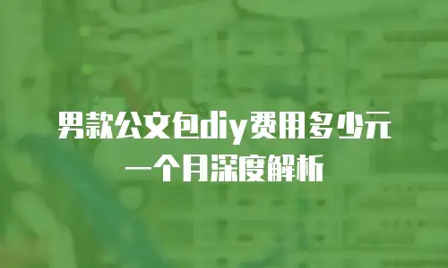 男款公文包diy费用多少元一个月深度解析