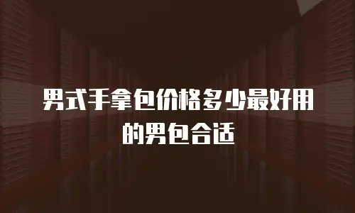 男式手拿包价格多少最好用的男包合适