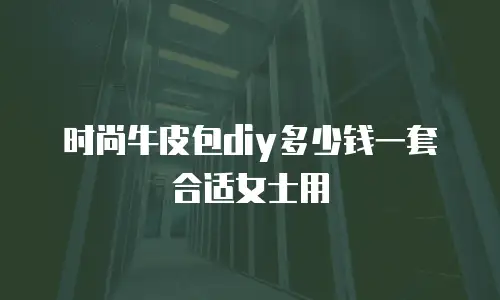时尚牛皮包diy多少钱一套合适女士用