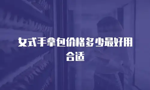 女式手拿包价格多少最好用合适