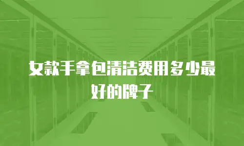 女款手拿包清洁费用多少最好的牌子