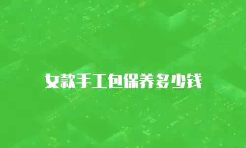 女款手工包保养多少钱