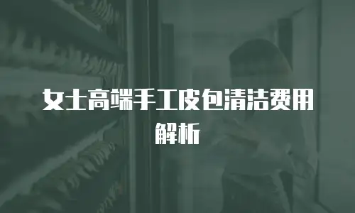 女士高端手工皮包清洁费用解析