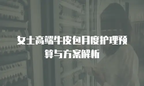 女士高端牛皮包月度护理预算与方案解析