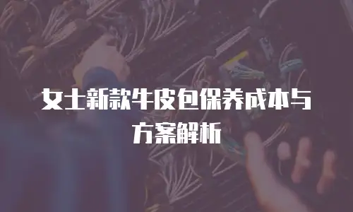 女士新款牛皮包保养成本与方案解析