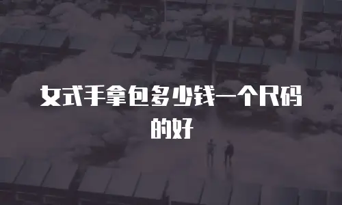女式手拿包多少钱一个尺码的好