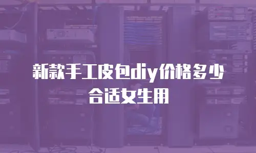 新款手工皮包diy价格多少合适女生用