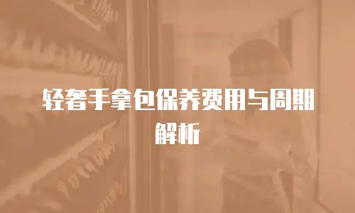轻奢手拿包保养费用与周期解析