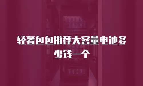 轻奢包包推荐大容量电池多少钱一个