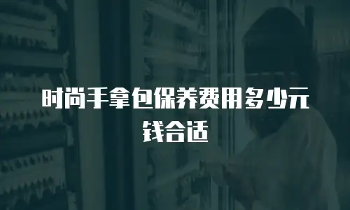 时尚手拿包保养费用多少元钱合适