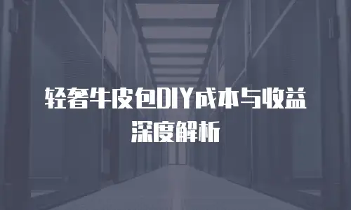 轻奢牛皮包DIY成本与收益深度解析