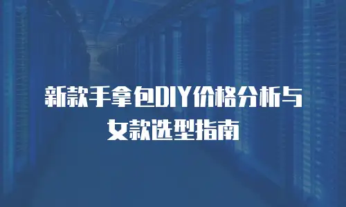 新款手拿包DIY价格分析与女款选型指南