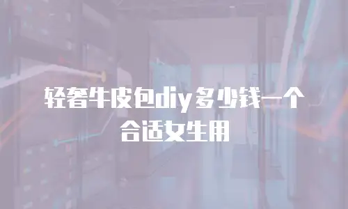 轻奢牛皮包diy多少钱一个合适女生用