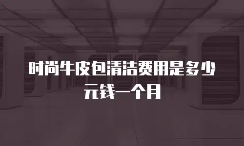 时尚牛皮包清洁费用是多少元钱一个月