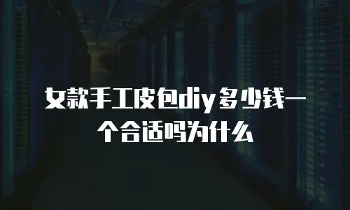 女款手工皮包diy多少钱一个合适吗为什么
