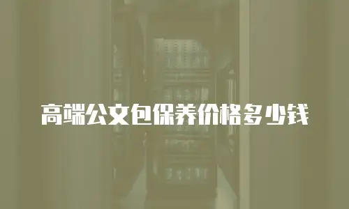 高端公文包保养价格多少钱