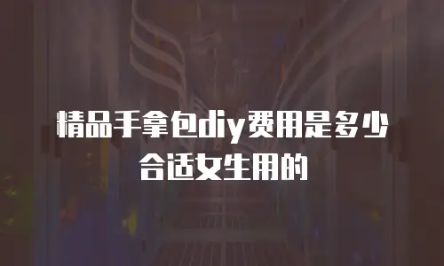 精品手拿包diy费用是多少合适女生用的