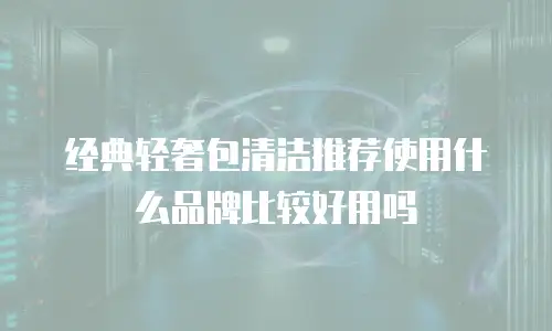 经典轻奢包清洁推荐使用什么品牌比较好用吗