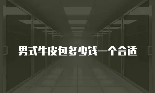 男式牛皮包多少钱一个合适