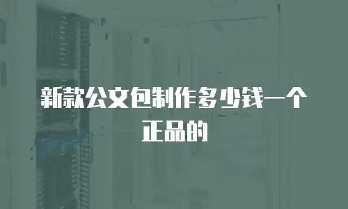 新款公文包制作多少钱一个正品的