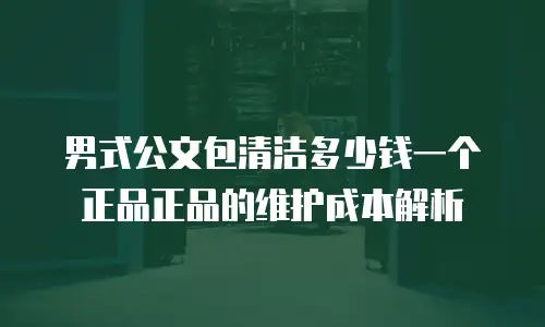 男式公文包清洁多少钱一个正品正品的维护成本解析