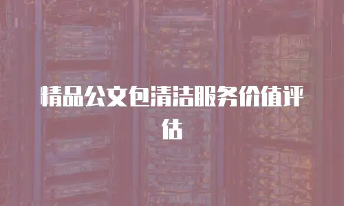 精品公文包清洁服务价值评估