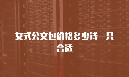 女式公文包价格多少钱一只合适