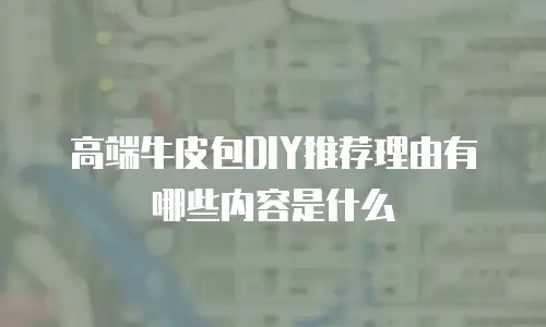 高端牛皮包DIY推荐理由有哪些内容是什么