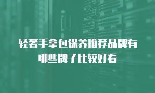 轻奢手拿包保养推荐品牌有哪些牌子比较好看