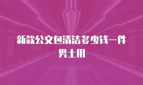 新款公文包清洁多少钱一件男士用