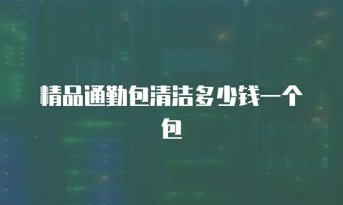 精品通勤包清洁多少钱一个包
