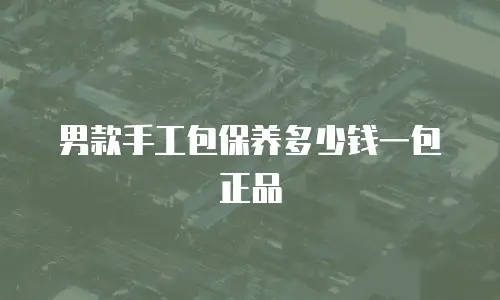 男款手工包保养多少钱一包正品