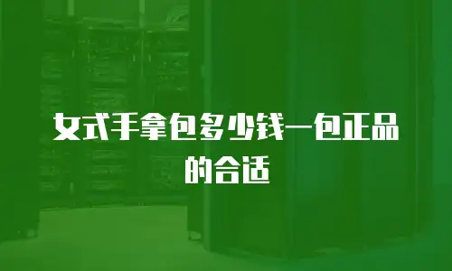 女式手拿包多少钱一包正品的合适