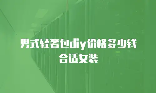 男式轻奢包diy价格多少钱合适女装