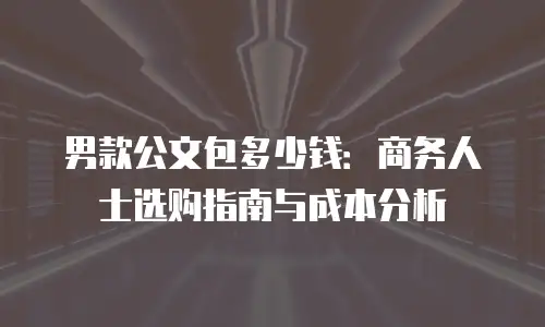 男款公文包多少钱：商务人士选购指南与成本分析