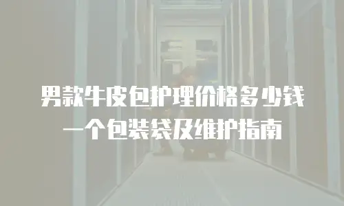 男款牛皮包护理价格多少钱一个包装袋及维护指南